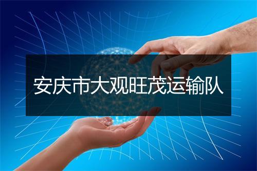 安庆市大观旺茂运输队