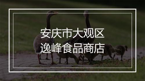 安庆市大观区逸峰食品商店