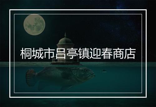 桐城市吕亭镇迎春商店