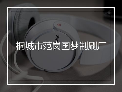 桐城市范岗国梦制刷厂