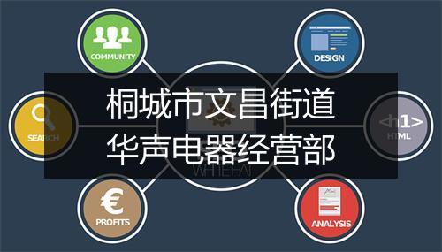 桐城市文昌街道华声电器经营部