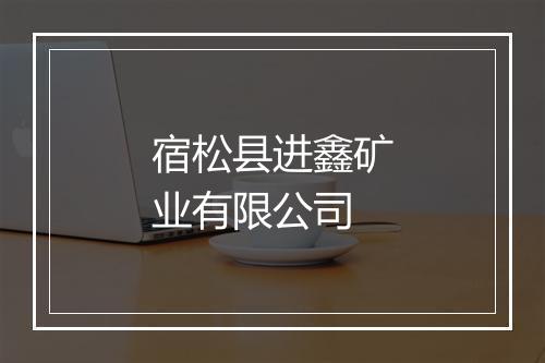 宿松县进鑫矿业有限公司