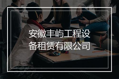 安徽丰屿工程设备租赁有限公司