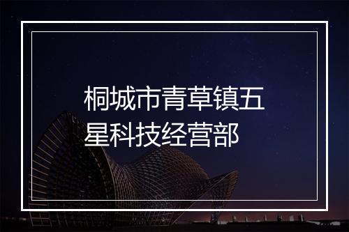 桐城市青草镇五星科技经营部