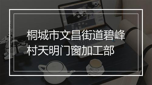 桐城市文昌街道碧峰村天明门窗加工部