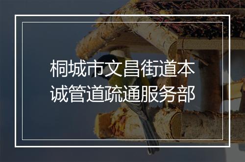 桐城市文昌街道本诚管道疏通服务部