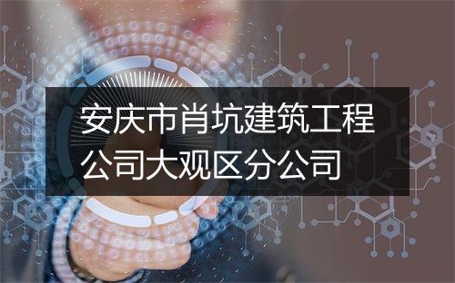 安庆市肖坑建筑工程公司大观区分公司