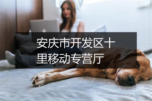 安庆市开发区十里移动专营厅