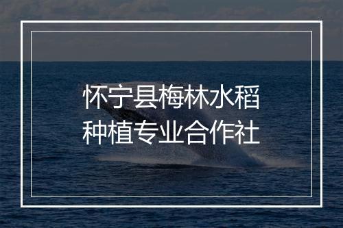 怀宁县梅林水稻种植专业合作社