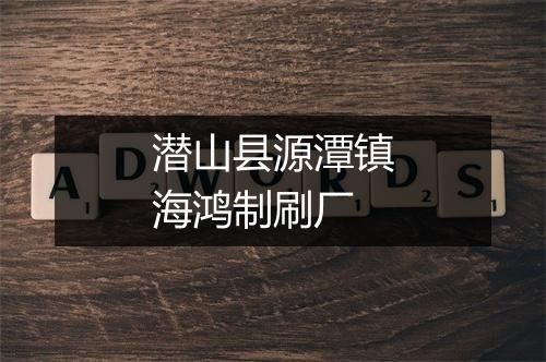 潜山县源潭镇海鸿制刷厂
