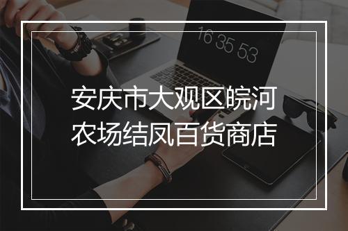 安庆市大观区皖河农场结凤百货商店