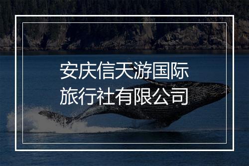安庆信天游国际旅行社有限公司