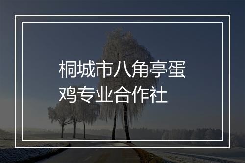 桐城市八角亭蛋鸡专业合作社