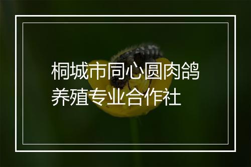 桐城市同心圆肉鸽养殖专业合作社