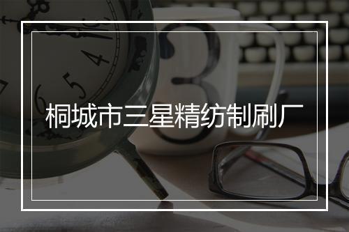 桐城市三星精纺制刷厂