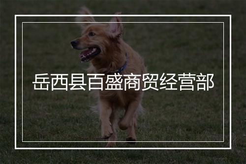 岳西县百盛商贸经营部