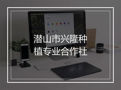潜山市兴隆种植专业合作社