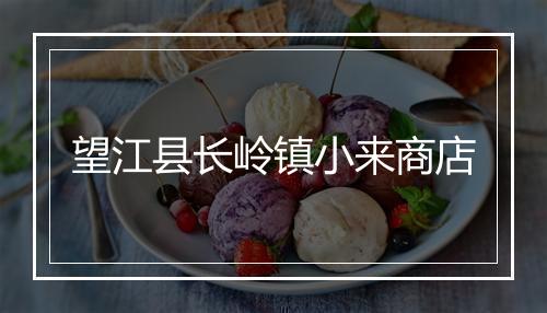 望江县长岭镇小来商店