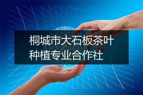 桐城市大石板茶叶种植专业合作社