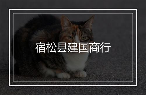 宿松县建国商行