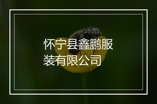 怀宁县鑫鹏服装有限公司