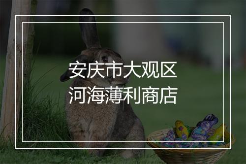 安庆市大观区河海薄利商店