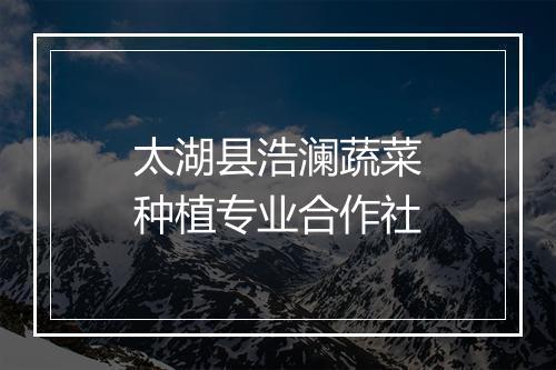 太湖县浩澜蔬菜种植专业合作社