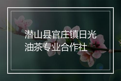 潜山县官庄镇日光油茶专业合作社