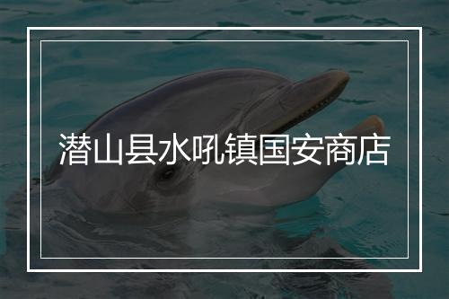 潜山县水吼镇国安商店