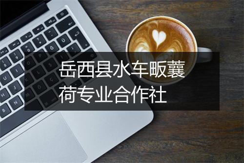 岳西县水车畈蘘荷专业合作社