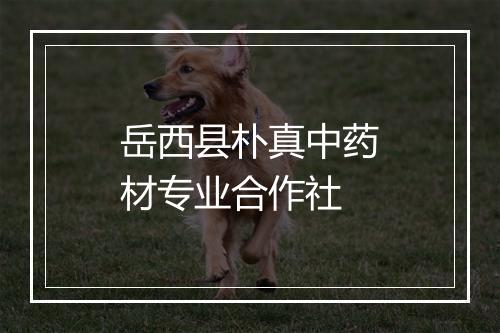 岳西县朴真中药材专业合作社