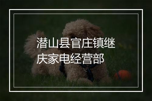 潜山县官庄镇继庆家电经营部
