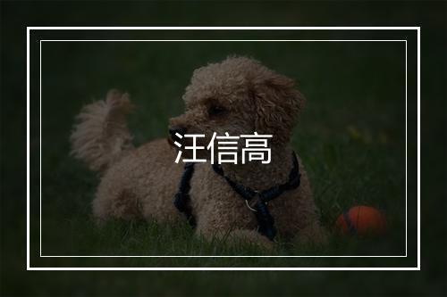 汪信高