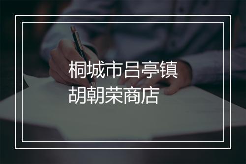 桐城市吕亭镇胡朝荣商店