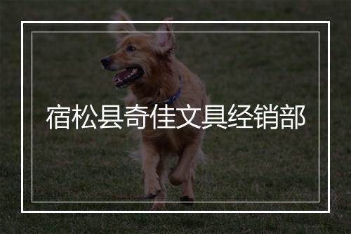 宿松县奇佳文具经销部