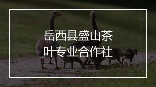 岳西县盛山茶叶专业合作社