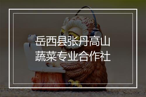 岳西县张丹高山蔬菜专业合作社