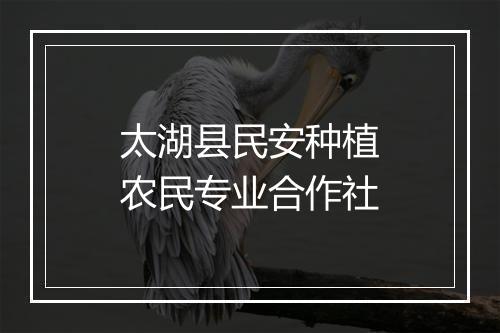 太湖县民安种植农民专业合作社