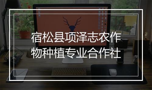 宿松县项泽志农作物种植专业合作社