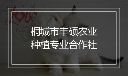 桐城市丰硕农业种植专业合作社