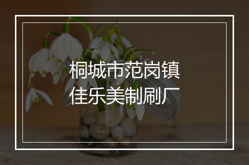 桐城市范岗镇佳乐美制刷厂