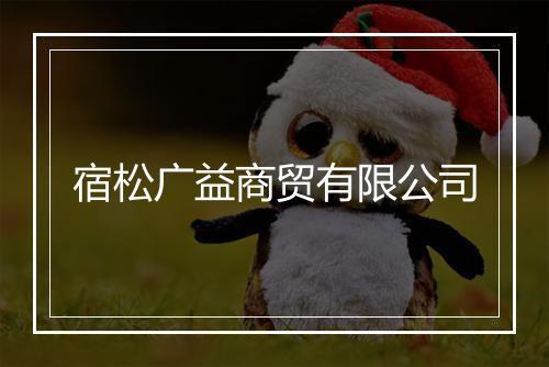 宿松广益商贸有限公司