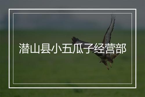 潜山县小五瓜子经营部