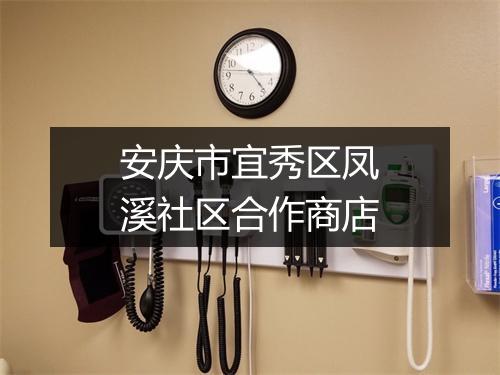安庆市宜秀区凤溪社区合作商店