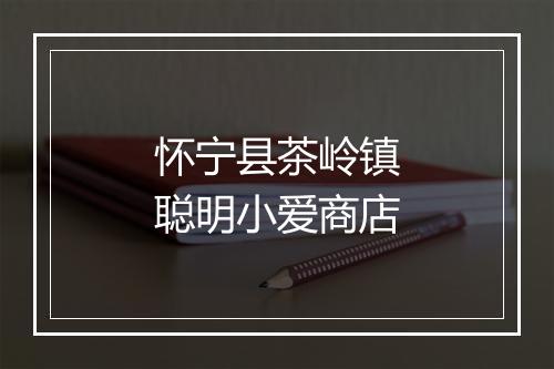 怀宁县茶岭镇聪明小爱商店