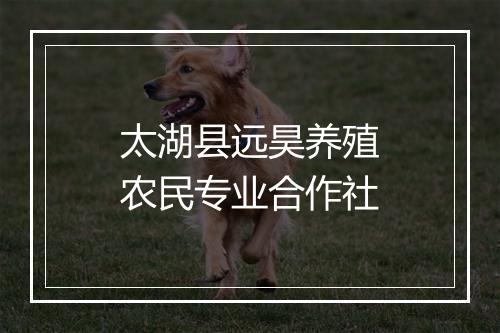 太湖县远昊养殖农民专业合作社
