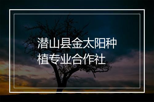 潜山县金太阳种植专业合作社