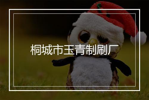 桐城市玉青制刷厂