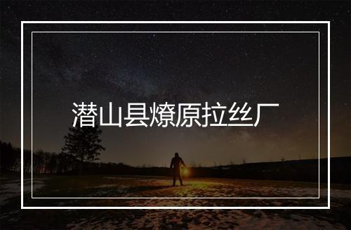 潜山县燎原拉丝厂