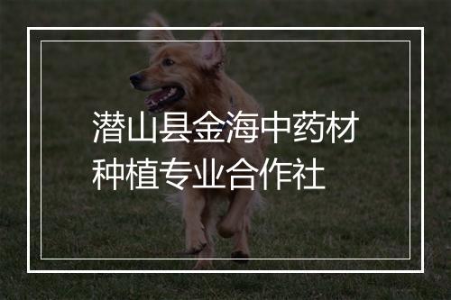 潜山县金海中药材种植专业合作社